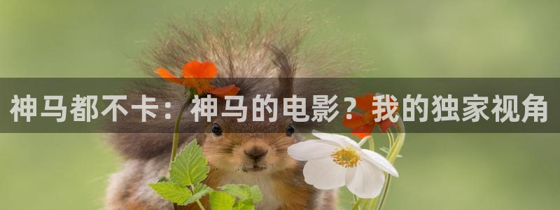 yy4138青苹果影院